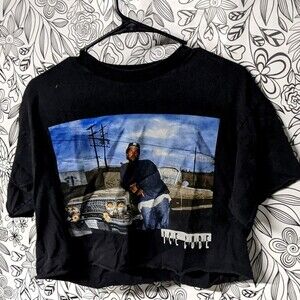 Ice cube Classic Vintage 90s Style Urban Graphic Retro Crop T-shirt Size Medium
